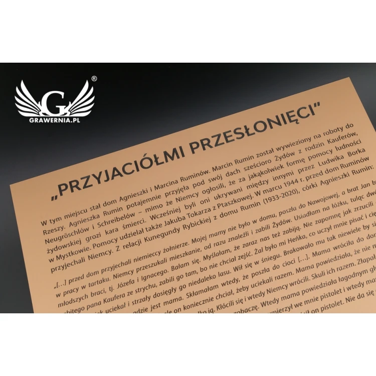 Engraved commemorative plaque with photo - exterior laminate - dimensions 400x550mm - TAB091