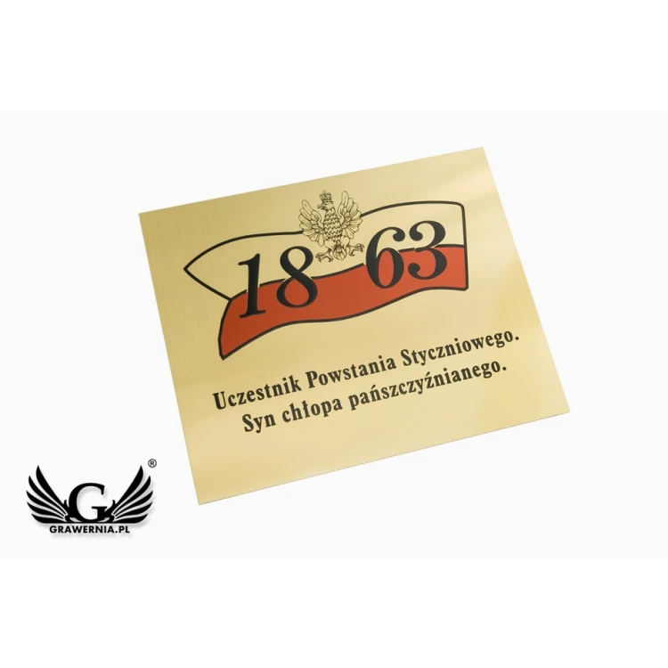 Plaque - Brushed Brass, CNC Engraved - UV Print Color - Size 250x200mm - TAB113