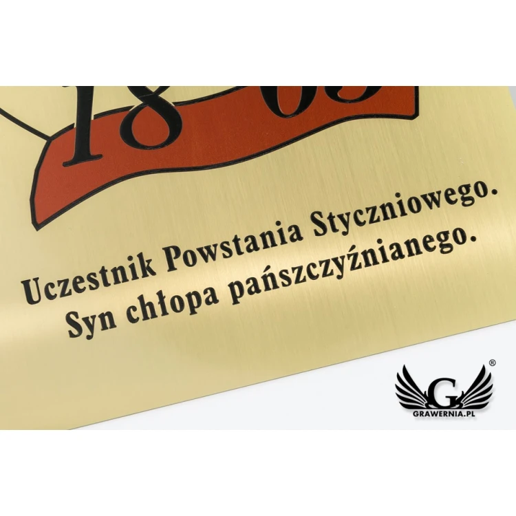 Plaque - Brushed Brass, CNC Engraved - UV Print Color - Size 250x200mm - TAB113