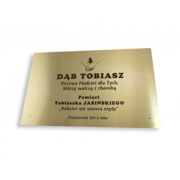 Brass Plaque with Dedication - M008 - size 200x130mm