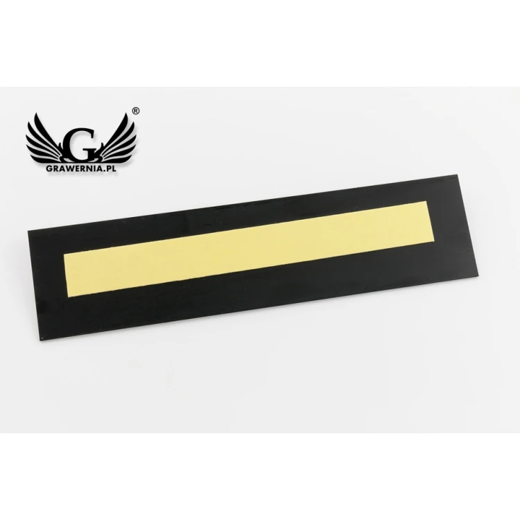 Plaque for Coeducational Toilets - Silver or Gold Laminate - Size 200x50mm - TT036