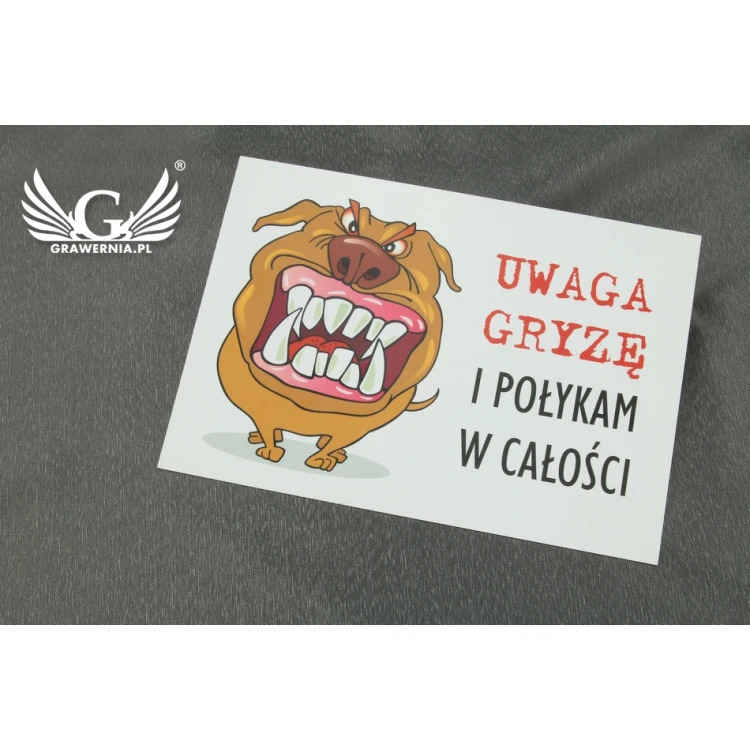 Warning sign - bad dog - PVC material - size 210x150mm - TZP002