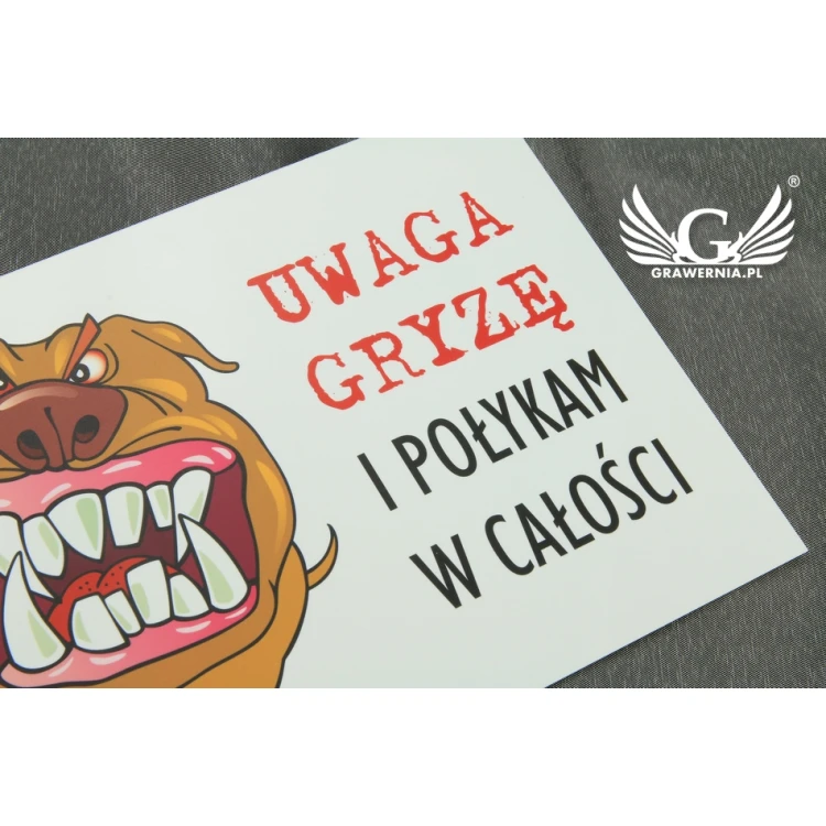 Warning sign - bad dog - PVC material - size 210x150mm - TZP002