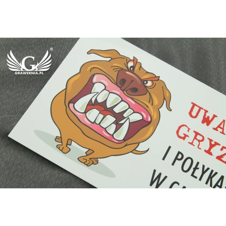 Warning sign - bad dog - PVC material - size 210x150mm - TZP002
