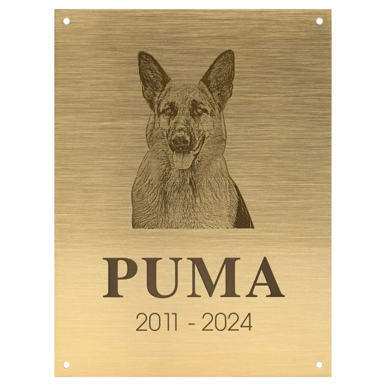 Brass plaque with engraving - brushed and lacquered brass - size 150x200 - TAB681