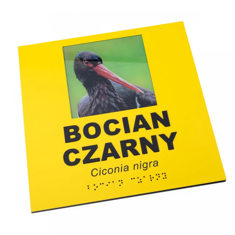 Information plaques with photo, custom text and Braille - size 210x210mm - TAB492