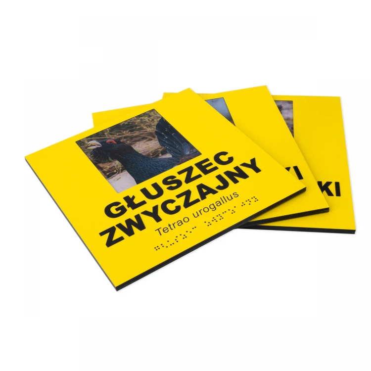 Information plaques with photo, custom text and Braille - size 210x210mm - TAB492
