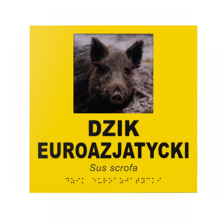 Information plaques with photo, custom text and Braille - size 210x210mm - TAB492