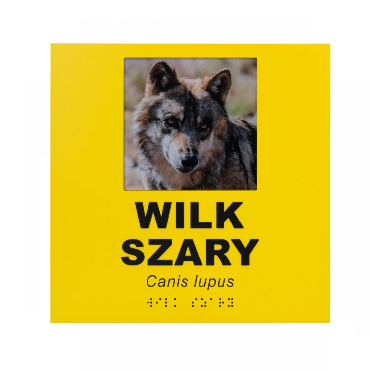 Information plaques with photo, custom text and Braille - size 210x210mm - TAB492