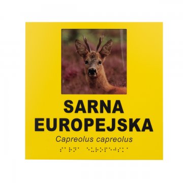 Information plaques with photo, custom text and Braille - size 210x210mm - TAB492