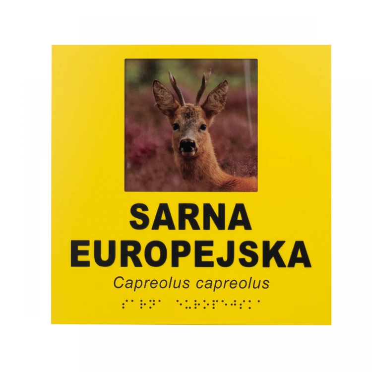 Information plaques with photo, custom text and Braille - size 210x210mm - TAB492