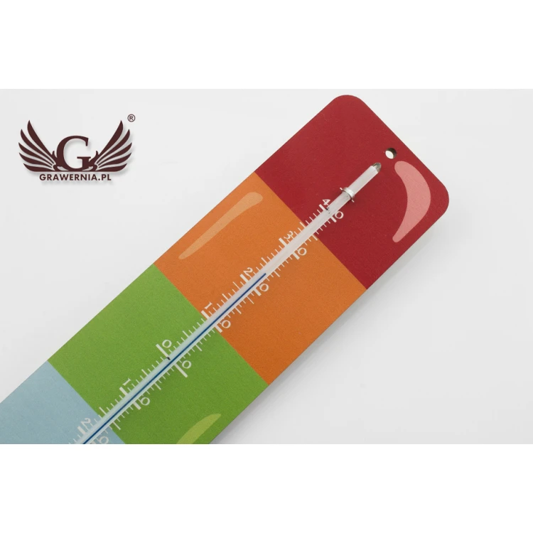 Ice Cream Shaped Holiday Thermometer - UV Digital Print - TER002