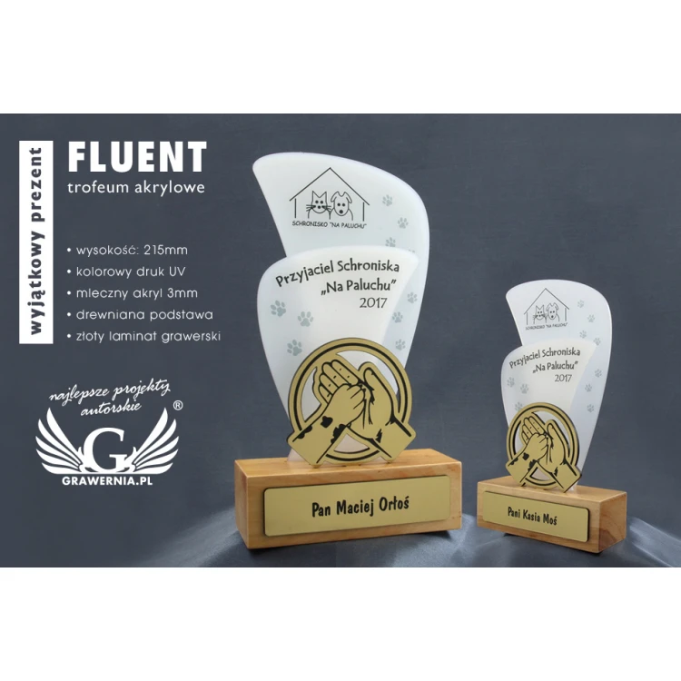 Acrylic Trophy - FLUENT - model DTA45 - height 21.5cm