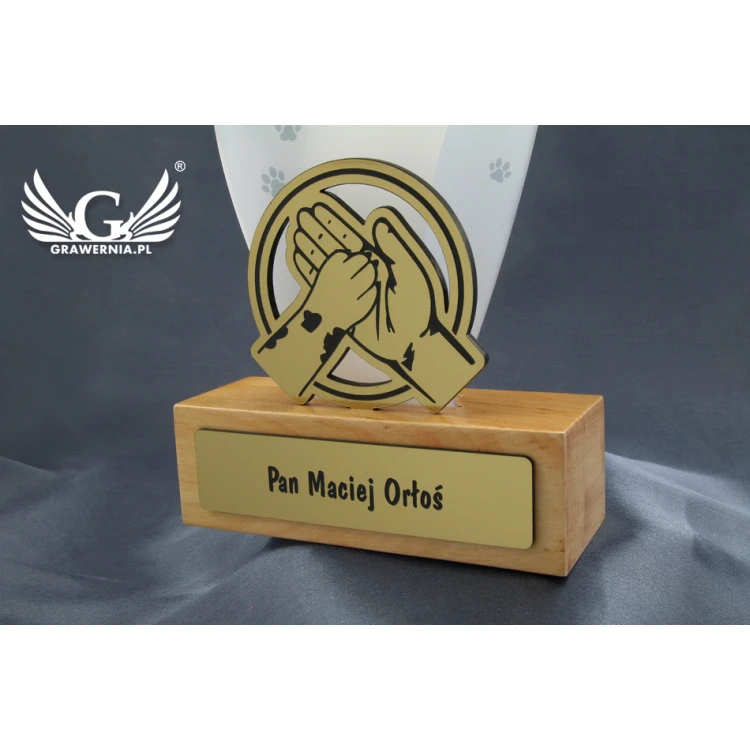 Acrylic Trophy - FLUENT - model DTA45 - height 21.5cm
