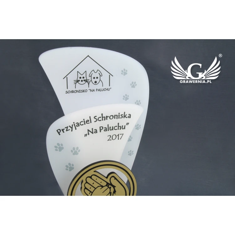 Acrylic Trophy - FLUENT - model DTA45 - height 21.5cm