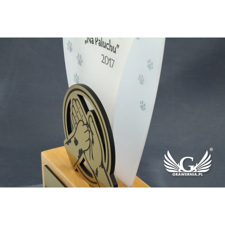 Acrylic Trophy - FLUENT - model DTA45 - height 21.5cm