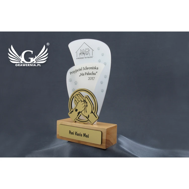 Acrylic Trophy - FLUENT - model DTA45 - height 21.5cm