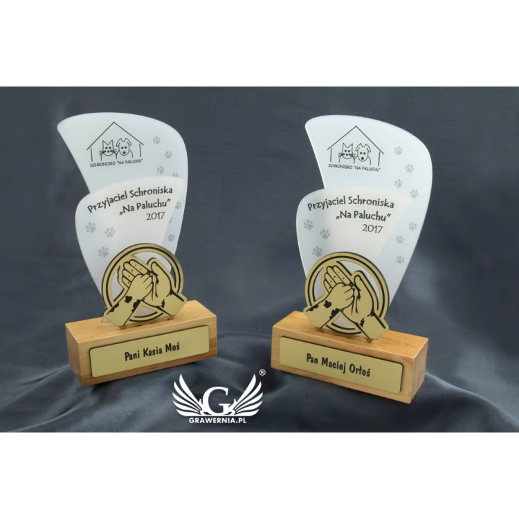 Acrylic Trophy - FLUENT - model DTA45 - height 21.5cm