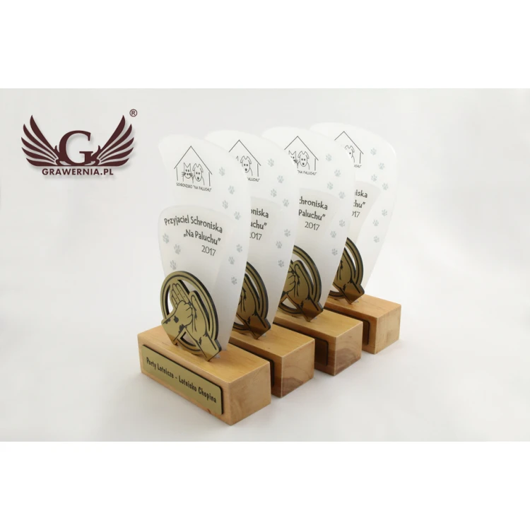 Acrylic Trophy - FLUENT - model DTA45 - height 21.5cm