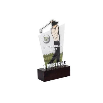 Acrylic Trophy on Wooden Pedestal - Golf - height 22.5cm - DTA077