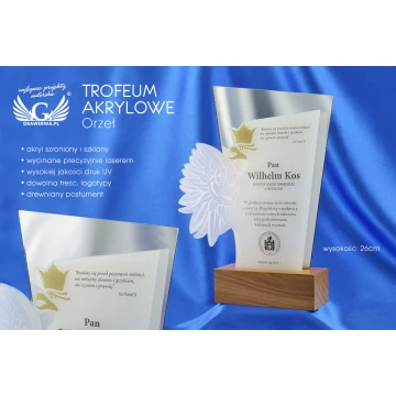 Acrylic Trophy - EAGLE - model DTA41 - height 21.5cm