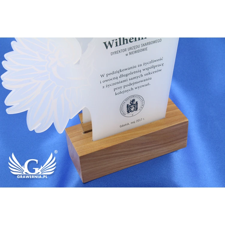 Acrylic Trophy - EAGLE - model DTA41 - height 21.5cm