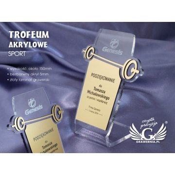Acrylic Trophy Sport - model DTA16 - height 15 cm