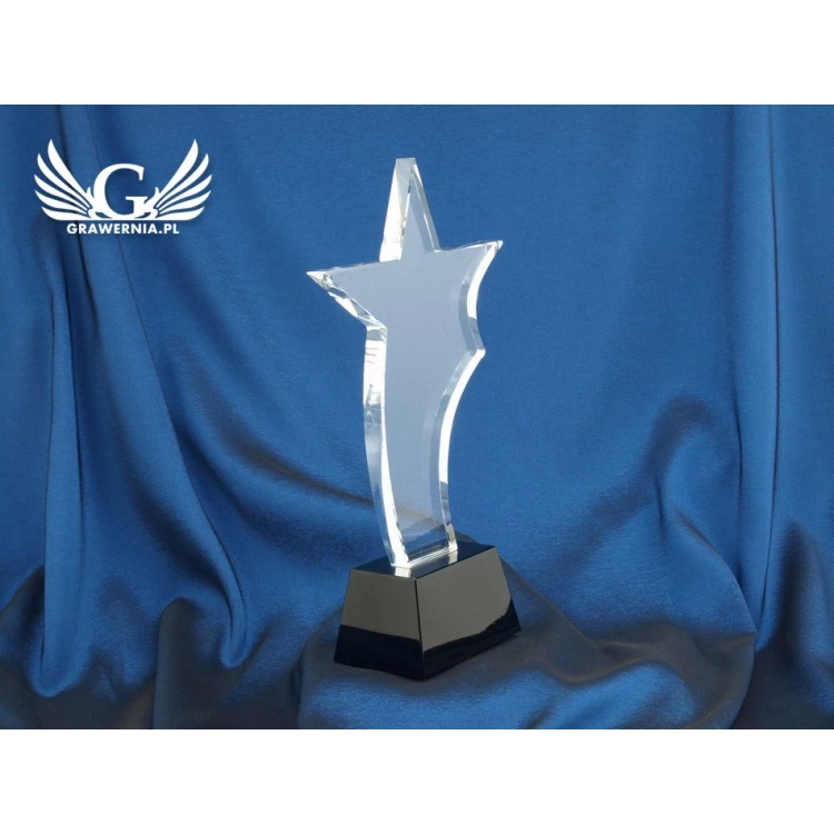 Glass Trophy in Case - STAR
