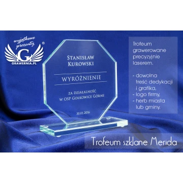 Glass Trophy - MERIDA
