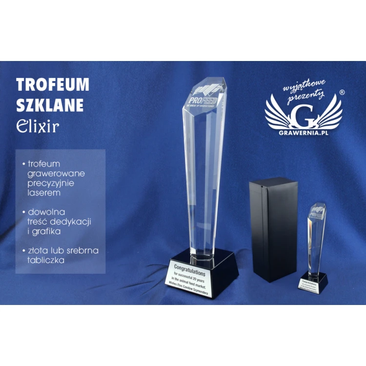 Glass Trophy in Case - ELIXIR