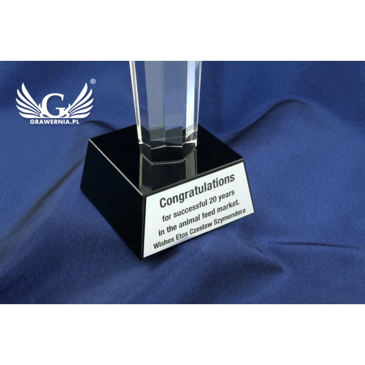 Glass Trophy in Case - ELIXIR