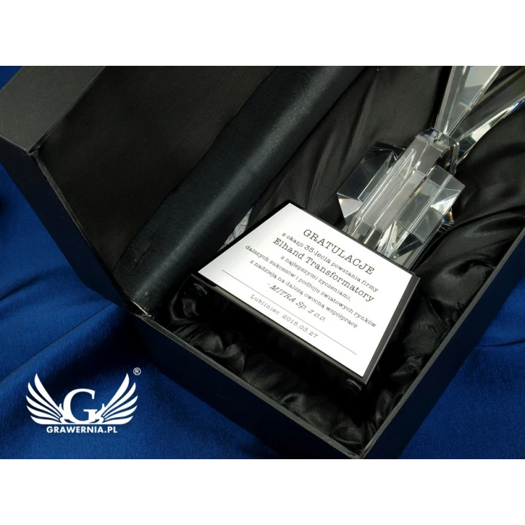 Glass Trophy in Case - GLOBE