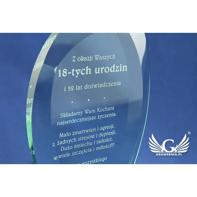 Glass Trophy in Case - INES