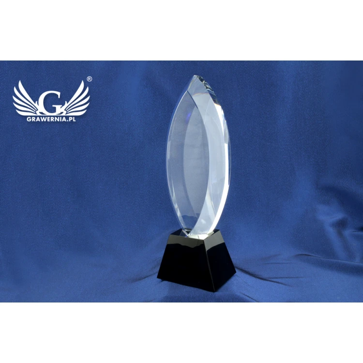 Glass Trophy in Case - LIDA