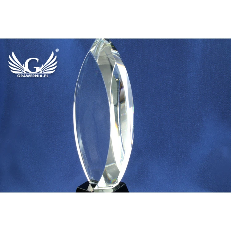 Glass Trophy in Case - LIDA