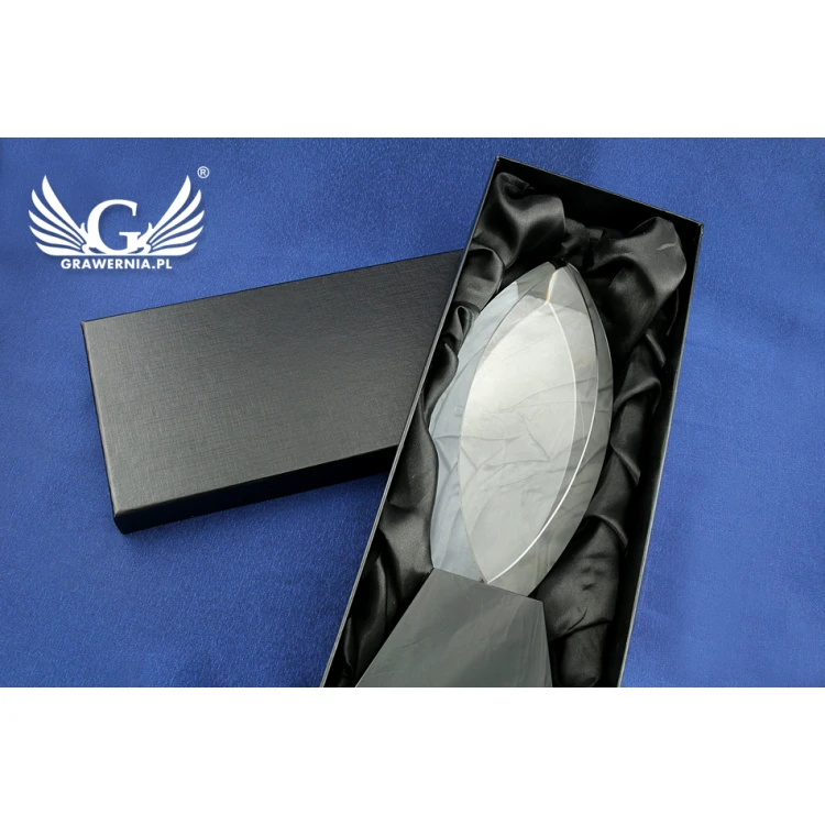Glass Trophy in Case - LIDA