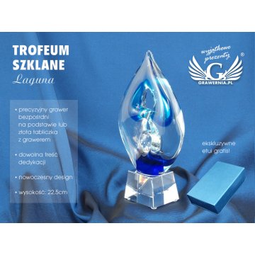 Glass Trophy in Case - LAGUNA
