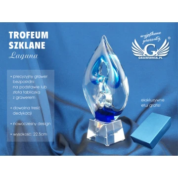 Glass Trophy in Case - LAGUNA