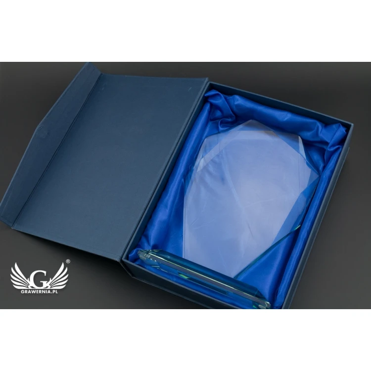 Glass Trophy in Case - MILO with Photo - Birthday Gift - TSZ063