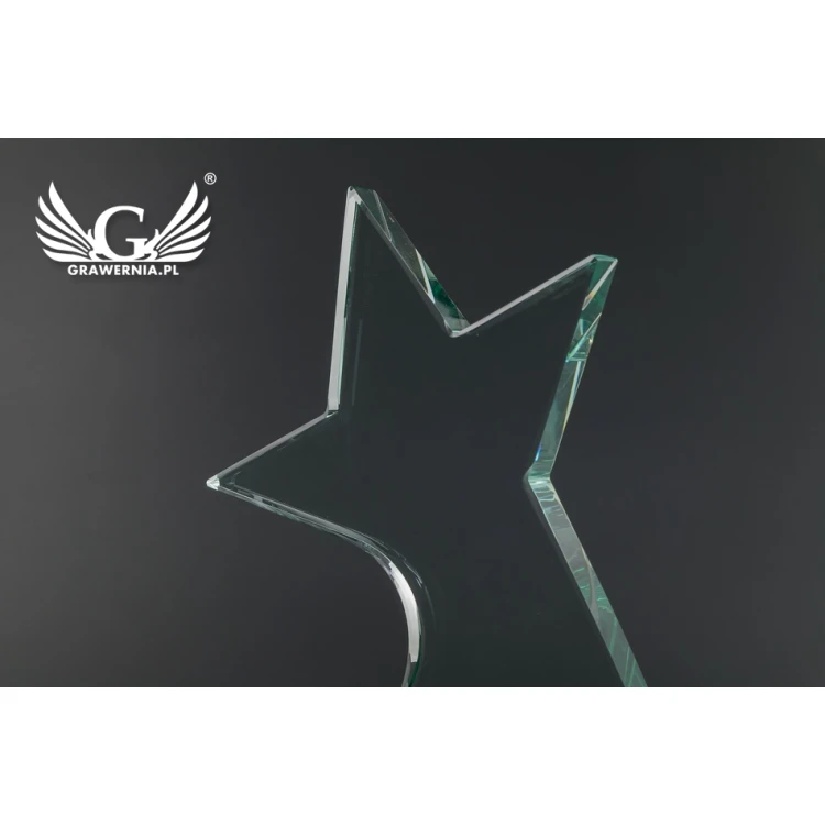 Glass Trophy in Case - Star 2 - TSZ104