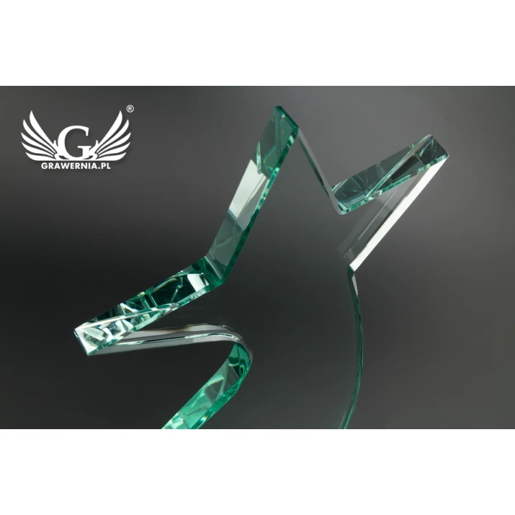 Glass Trophy in Case - Star 2 - TSZ104