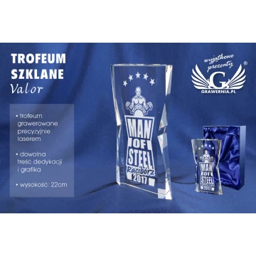 Glass Trophy in Case - VALOR