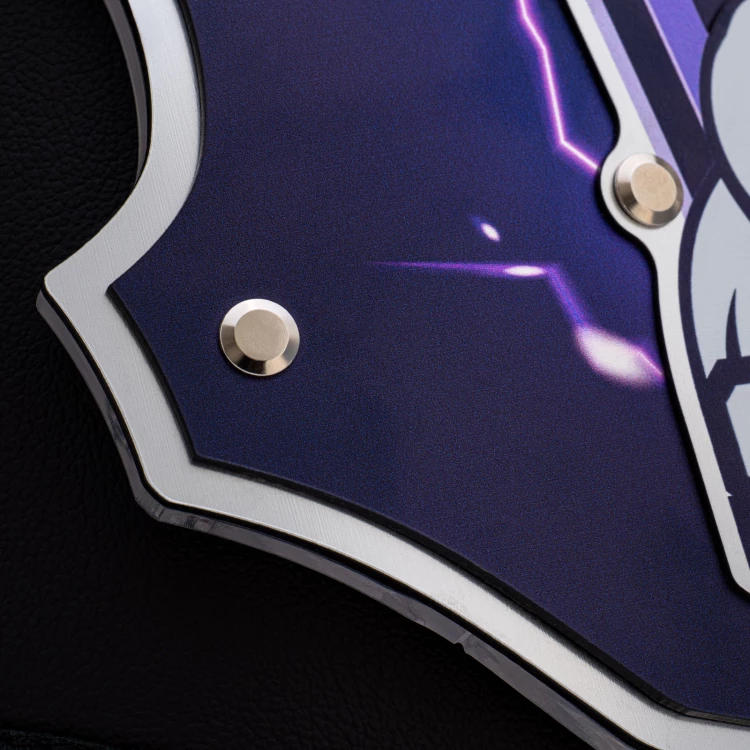 Personalisable championship belt - a unique gift for an athlete - dimensions 132x27,5 cm - P069
