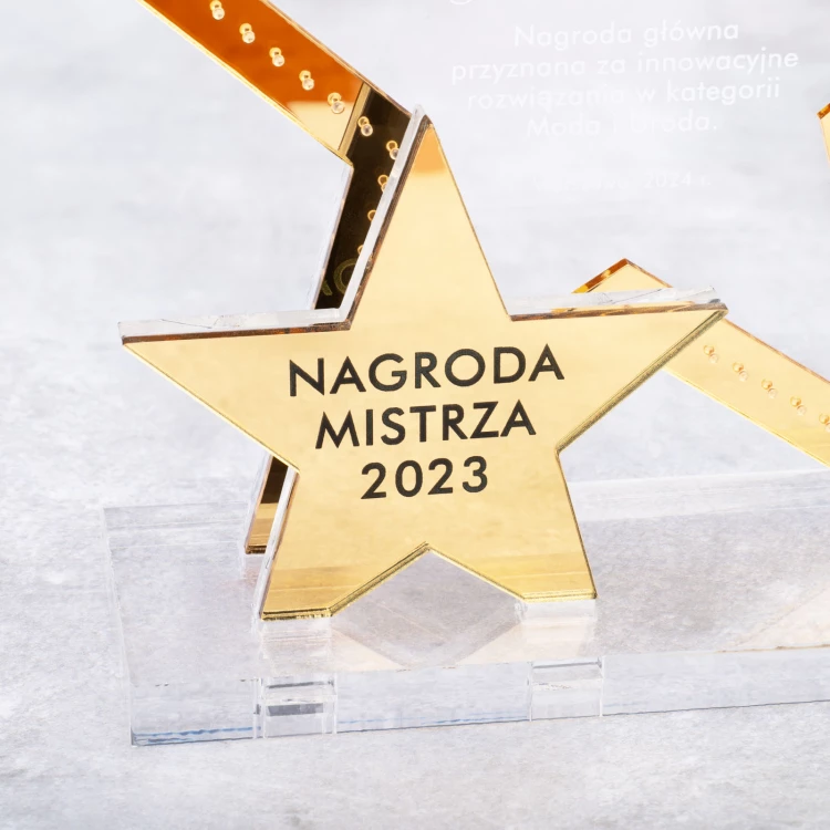 Acrylic Statuette - Award for Exceptional Achievement - Height 19cm - DTA107