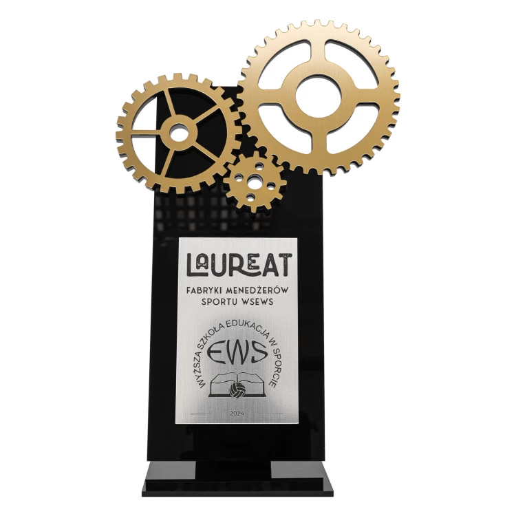 Acrylic statuette with gear wheels - laser engraving - height 24 cm - DTA154