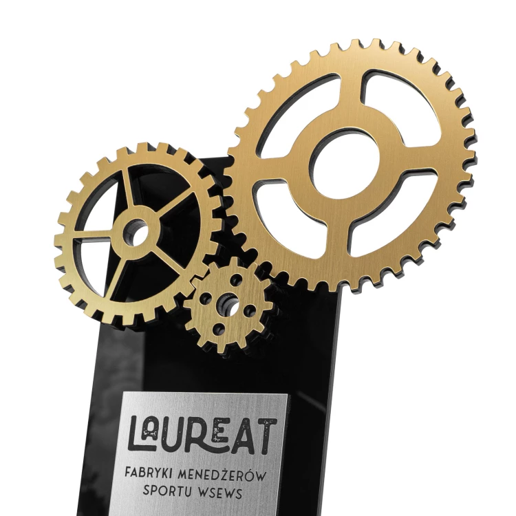 Acrylic statuette with gear wheels - laser engraving - height 24 cm - DTA154