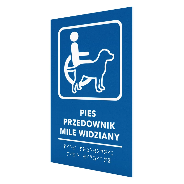 Braille door plaque for the blind - size 300x150mm - TAB706