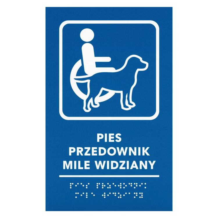 Braille door plaque for the blind - size 300x150mm - TAB706
