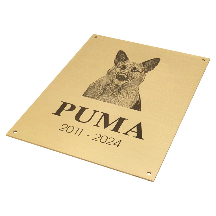 Brass plaque with engraving - brushed and lacquered brass - size 150x200 - TAB681