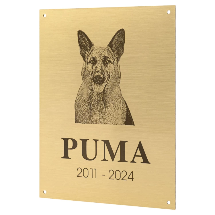 Brass plaque with engraving - brushed and lacquered brass - size 150x200 - TAB681